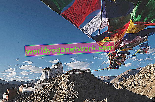 Das Geheimnis der tibetischen Yoga-Praktiken lüften