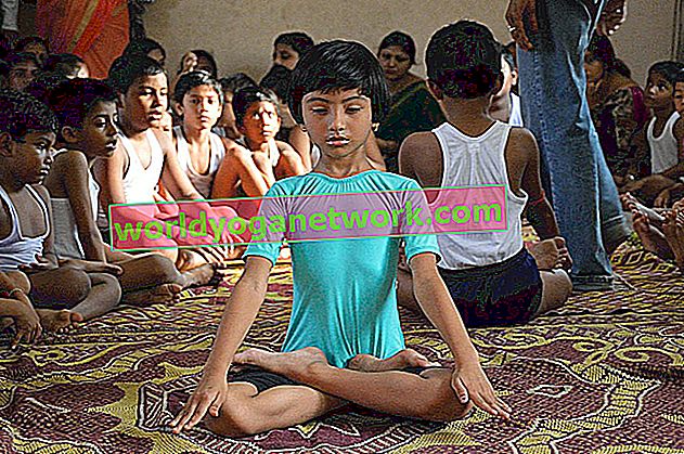 Meister Padmasana (Lotus Pose) in 6 Schritten